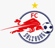 萨尔茨堡FC