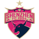 深圳队(1994-2024)